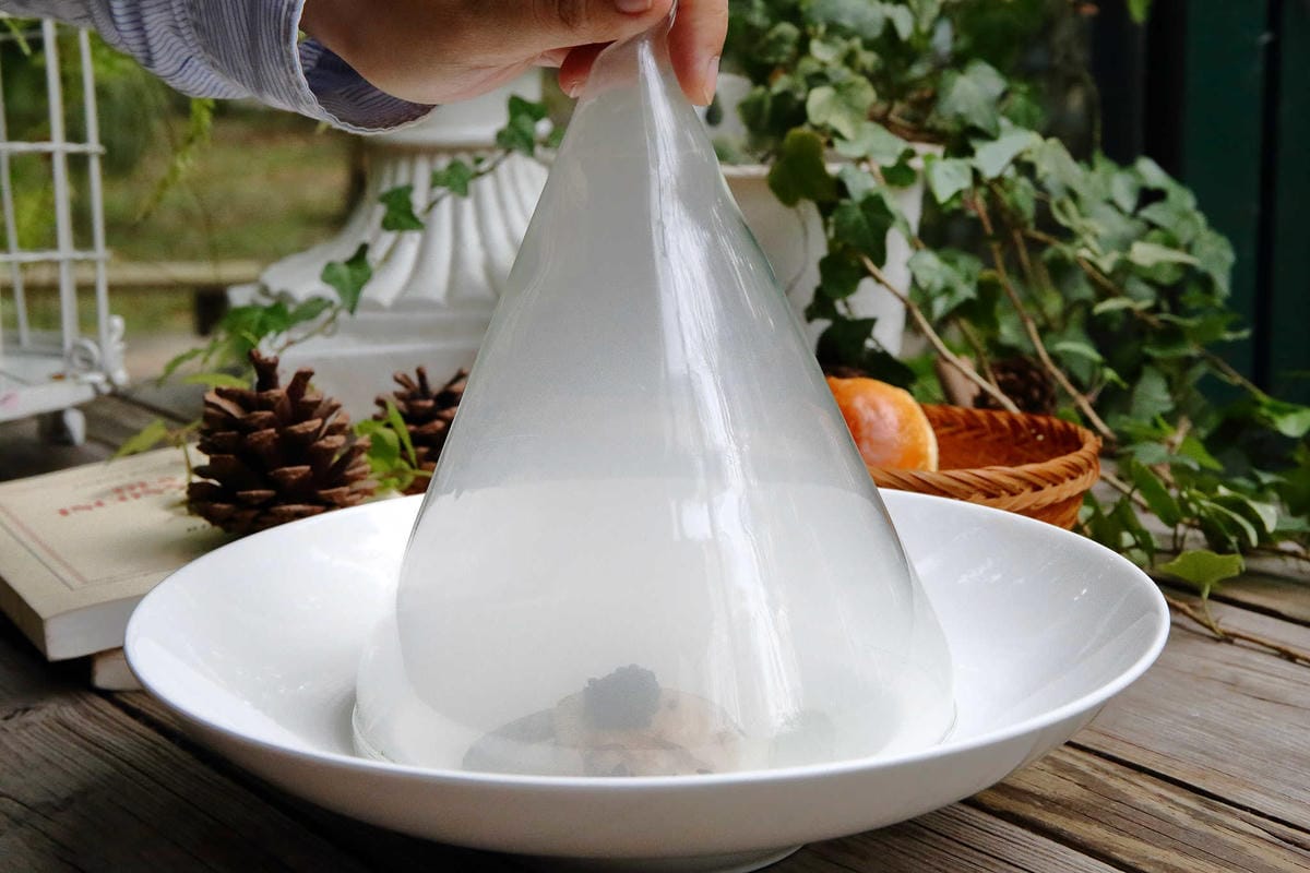 【食。台中】千樺花園餐廳〜森林系餐廳，處處是打卡拍照熱點，浪漫場景、經典法式料理，讓你拍到手軟！