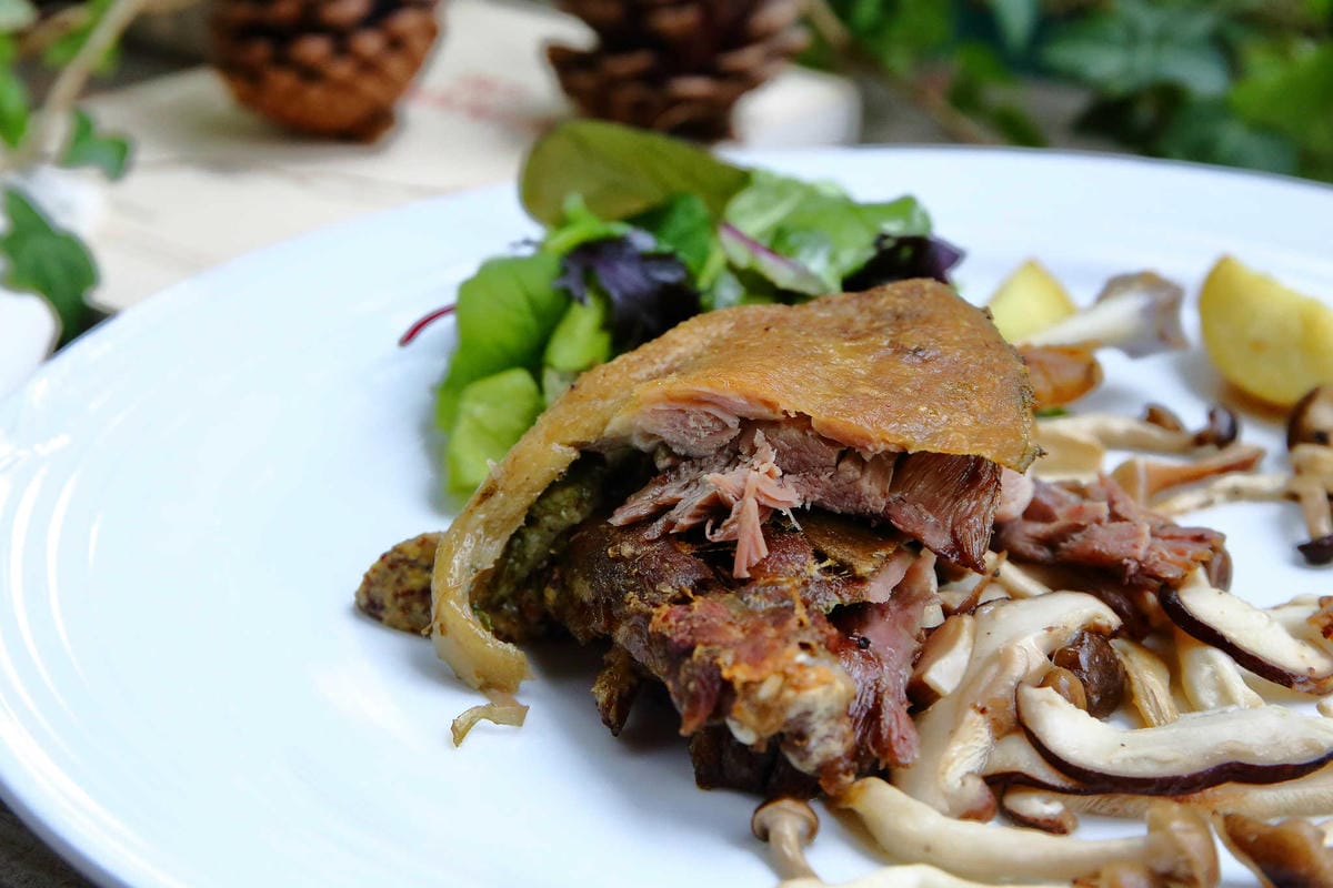 【食。台中】千樺花園餐廳〜森林系餐廳，處處是打卡拍照熱點，浪漫場景、經典法式料理，讓你拍到手軟！