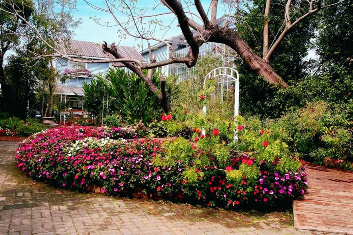 【食。台中】千樺花園餐廳〜森林系餐廳，處處是打卡拍照熱點，浪漫場景、經典法式料理，讓你拍到手軟！