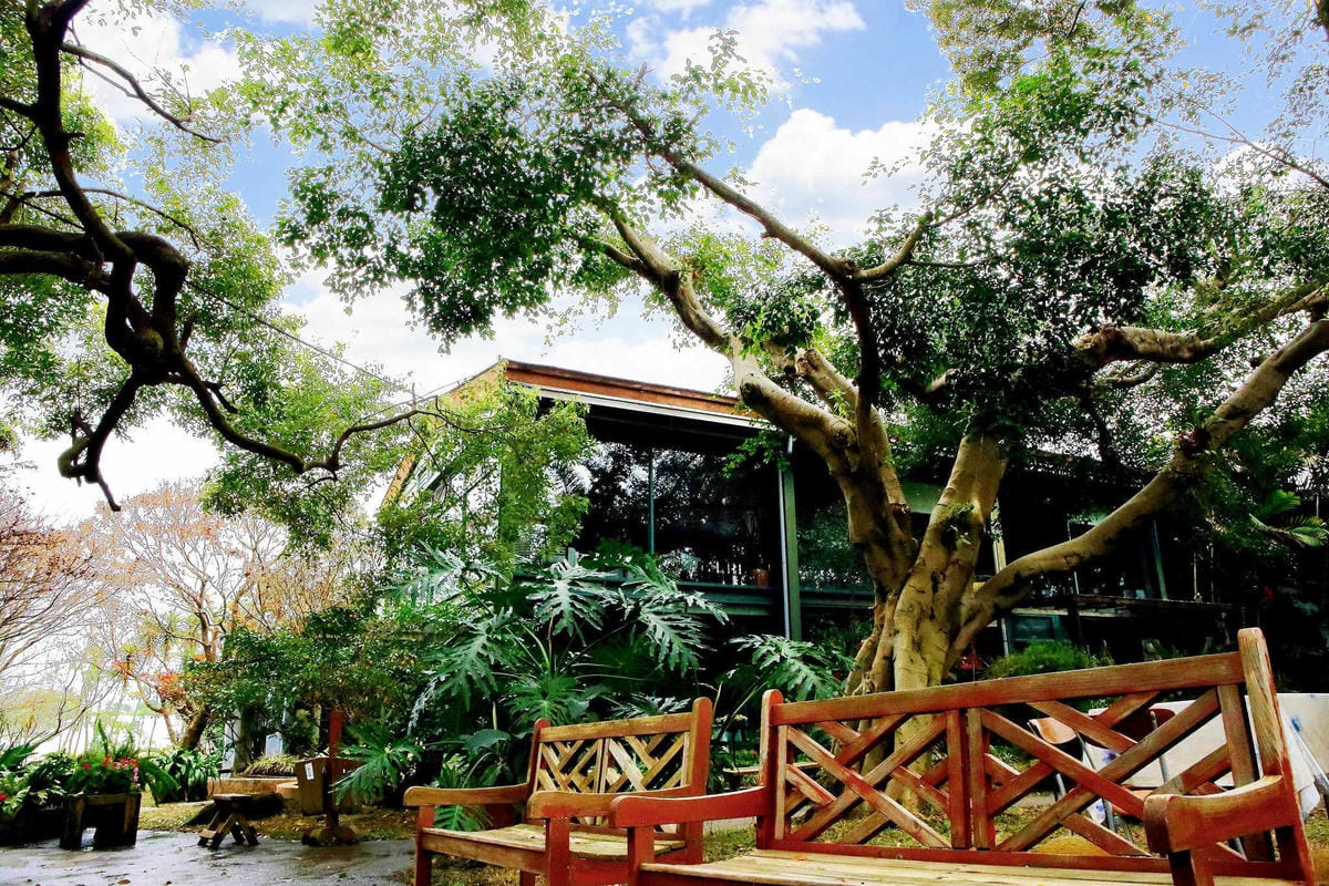 【食。台中】千樺花園餐廳〜森林系餐廳，處處是打卡拍照熱點，浪漫場景、經典法式料理，讓你拍到手軟！