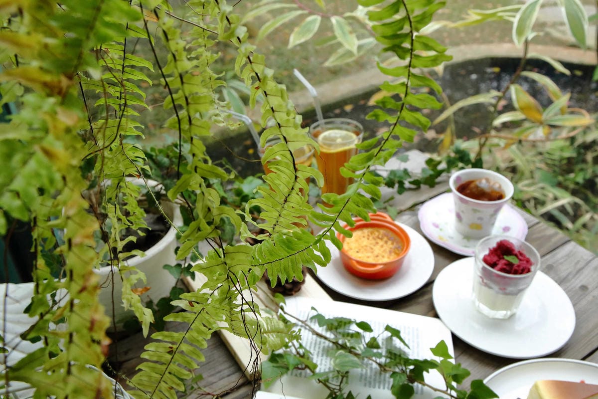 【食。台中】千樺花園餐廳〜森林系餐廳，處處是打卡拍照熱點，浪漫場景、經典法式料理，讓你拍到手軟！