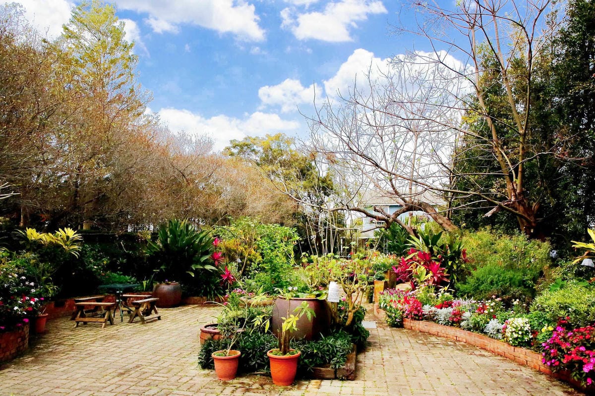 【食。台中】千樺花園餐廳〜森林系餐廳，處處是打卡拍照熱點，浪漫場景、經典法式料理，讓你拍到手軟！