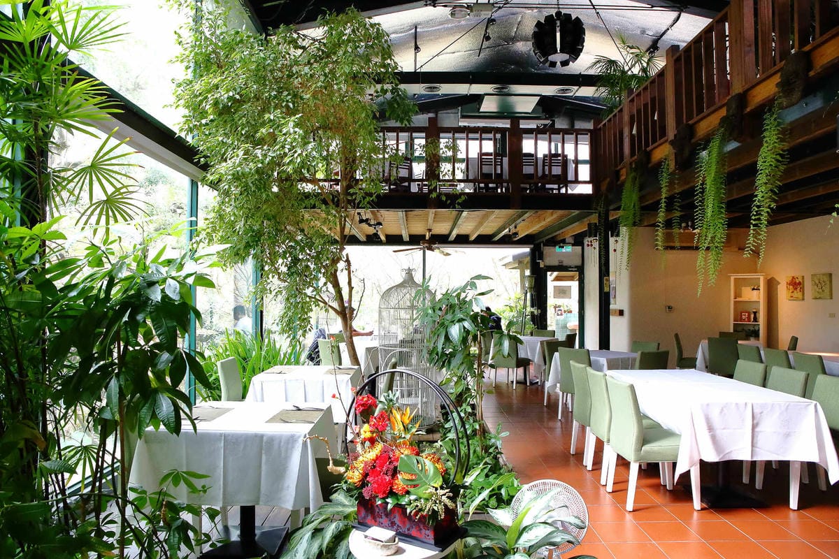 【食。台中】千樺花園餐廳〜森林系餐廳，處處是打卡拍照熱點，浪漫場景、經典法式料理，讓你拍到手軟！