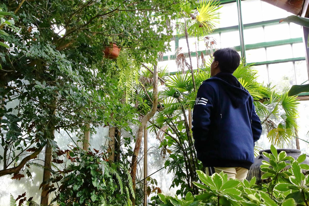 【食。台中】千樺花園餐廳〜森林系餐廳，處處是打卡拍照熱點，浪漫場景、經典法式料理，讓你拍到手軟！