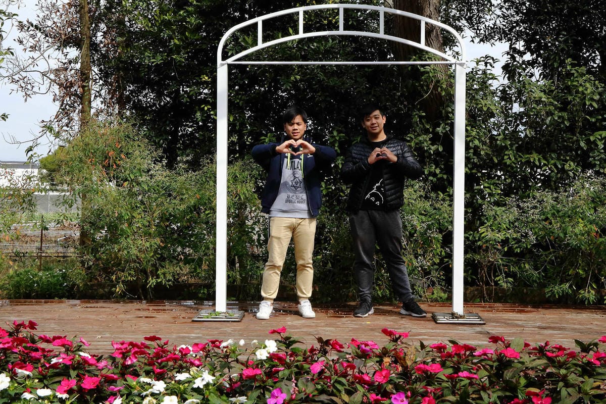 【食。台中】千樺花園餐廳〜森林系餐廳，處處是打卡拍照熱點，浪漫場景、經典法式料理，讓你拍到手軟！