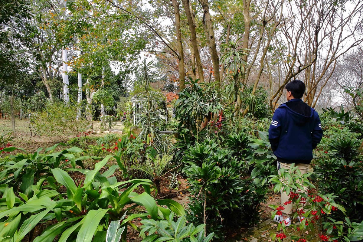 【食。台中】千樺花園餐廳〜森林系餐廳，處處是打卡拍照熱點，浪漫場景、經典法式料理，讓你拍到手軟！
