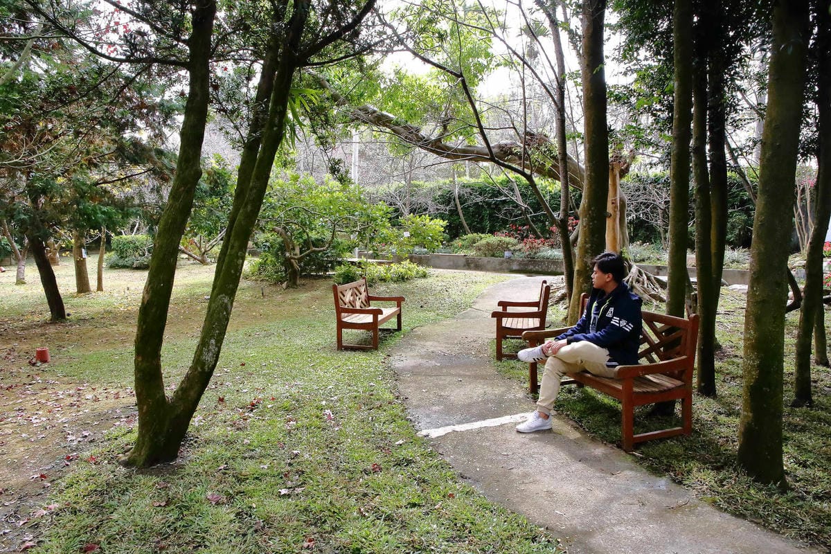 【食。台中】千樺花園餐廳〜森林系餐廳，處處是打卡拍照熱點，浪漫場景、經典法式料理，讓你拍到手軟！