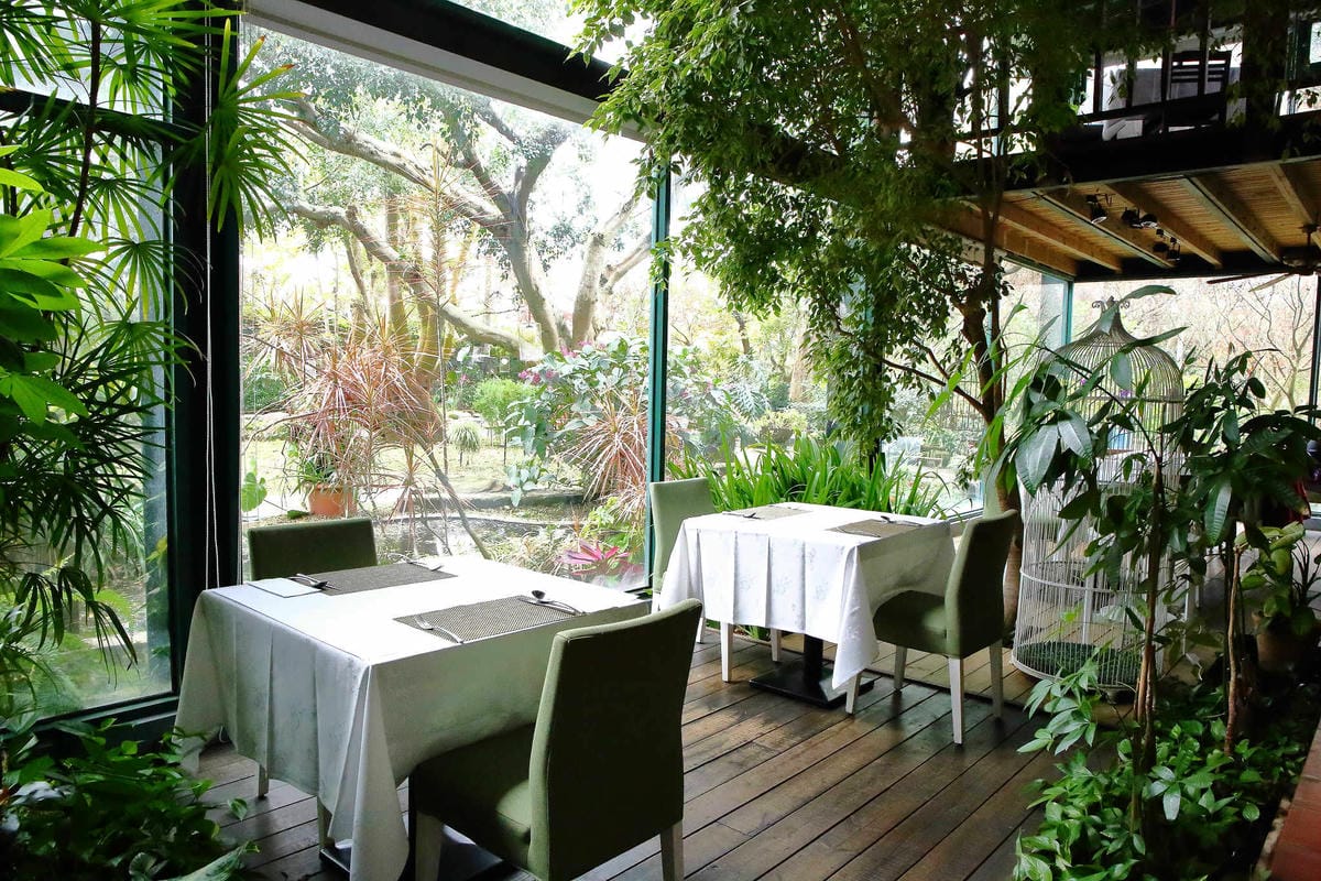 【食。台中】千樺花園餐廳〜森林系餐廳，處處是打卡拍照熱點，浪漫場景、經典法式料理，讓你拍到手軟！