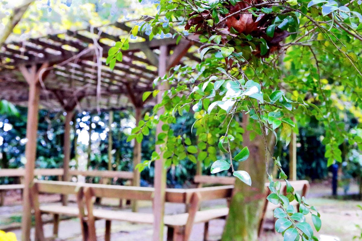 【食。台中】千樺花園餐廳〜森林系餐廳，處處是打卡拍照熱點，浪漫場景、經典法式料理，讓你拍到手軟！