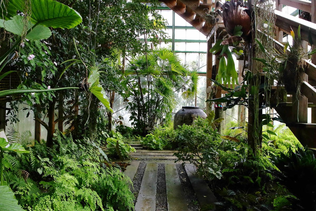 【食。台中】千樺花園餐廳〜森林系餐廳，處處是打卡拍照熱點，浪漫場景、經典法式料理，讓你拍到手軟！
