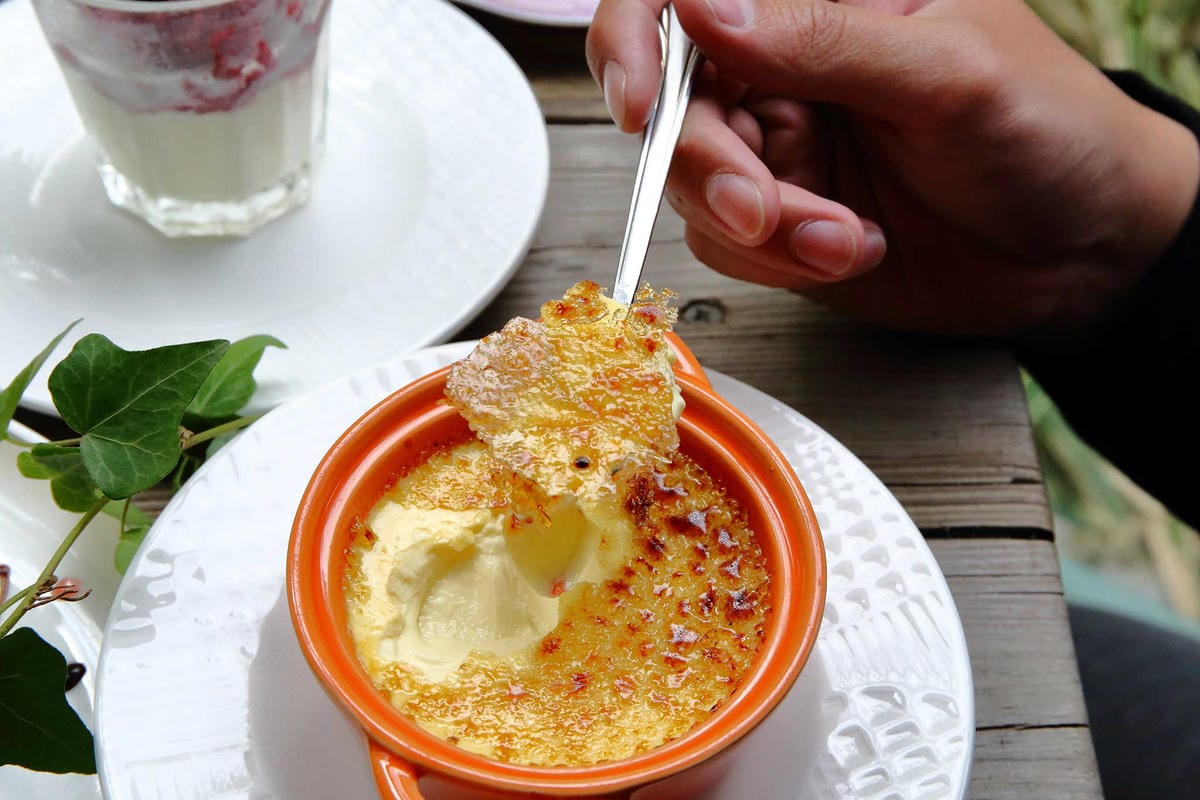 【食。台中】千樺花園餐廳〜森林系餐廳，處處是打卡拍照熱點，浪漫場景、經典法式料理，讓你拍到手軟！