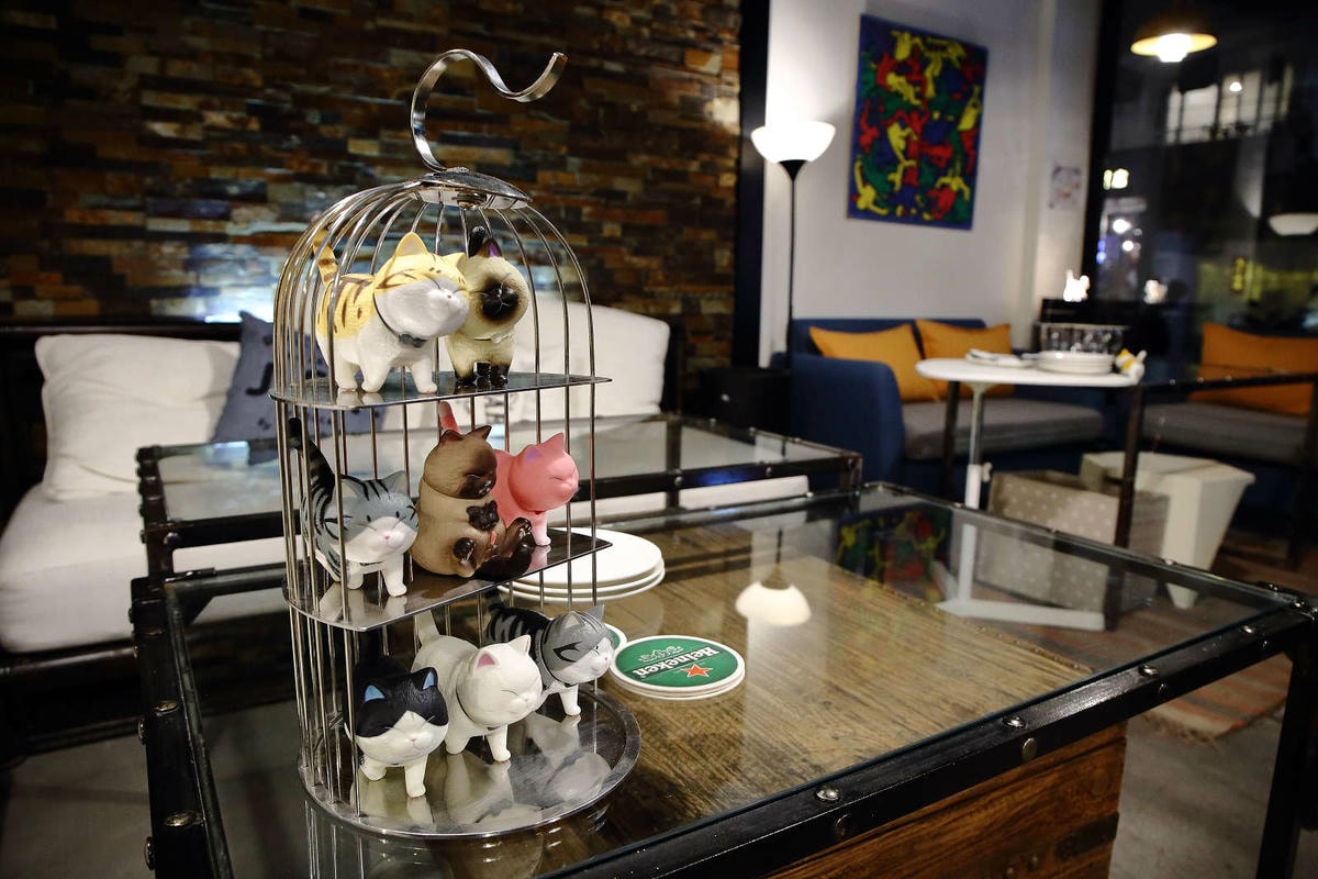 【食。台北】Gattino〜國父紀念館義式餐廳早午餐。創意義式料理挑逗味蕾,燉飯變成球,可可麵苦甜滋味