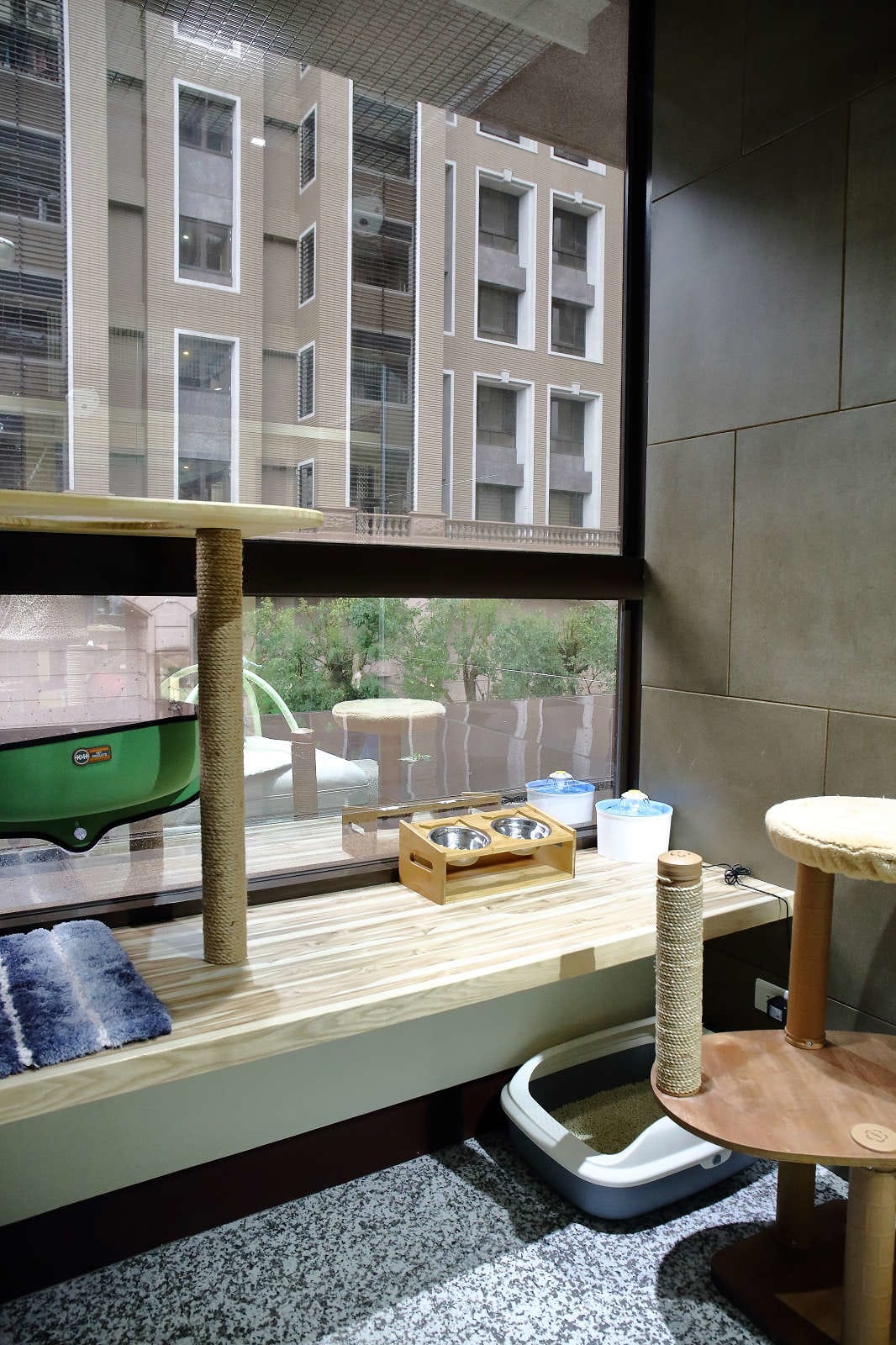 【寵物旅館。桃園】悠遊貓旅-專屬貓咪住宿〜桃園/大園貓咪旅館。貓奴推薦！專屬貓咪旅館，獨立房間與活動空間，主人們放心去旅行吧！