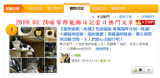 【寵物旅館。桃園】悠遊貓旅-專屬貓咪住宿〜桃園/大園貓咪旅館。貓奴推薦！專屬貓咪旅館，獨立房間與活動空間，主人們放心去旅行吧！