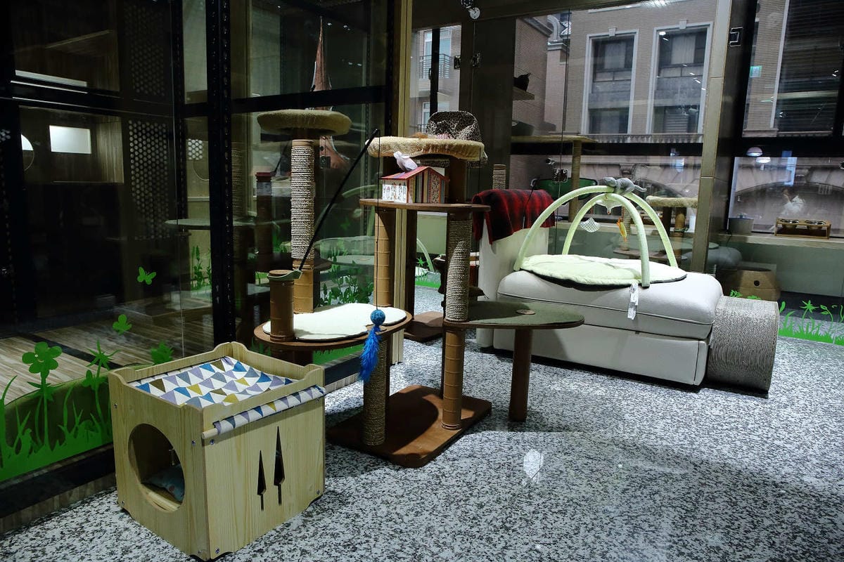 【寵物旅館。桃園】悠遊貓旅-專屬貓咪住宿〜桃園/大園貓咪旅館。貓奴推薦！專屬貓咪旅館，獨立房間與活動空間，主人們放心去旅行吧！