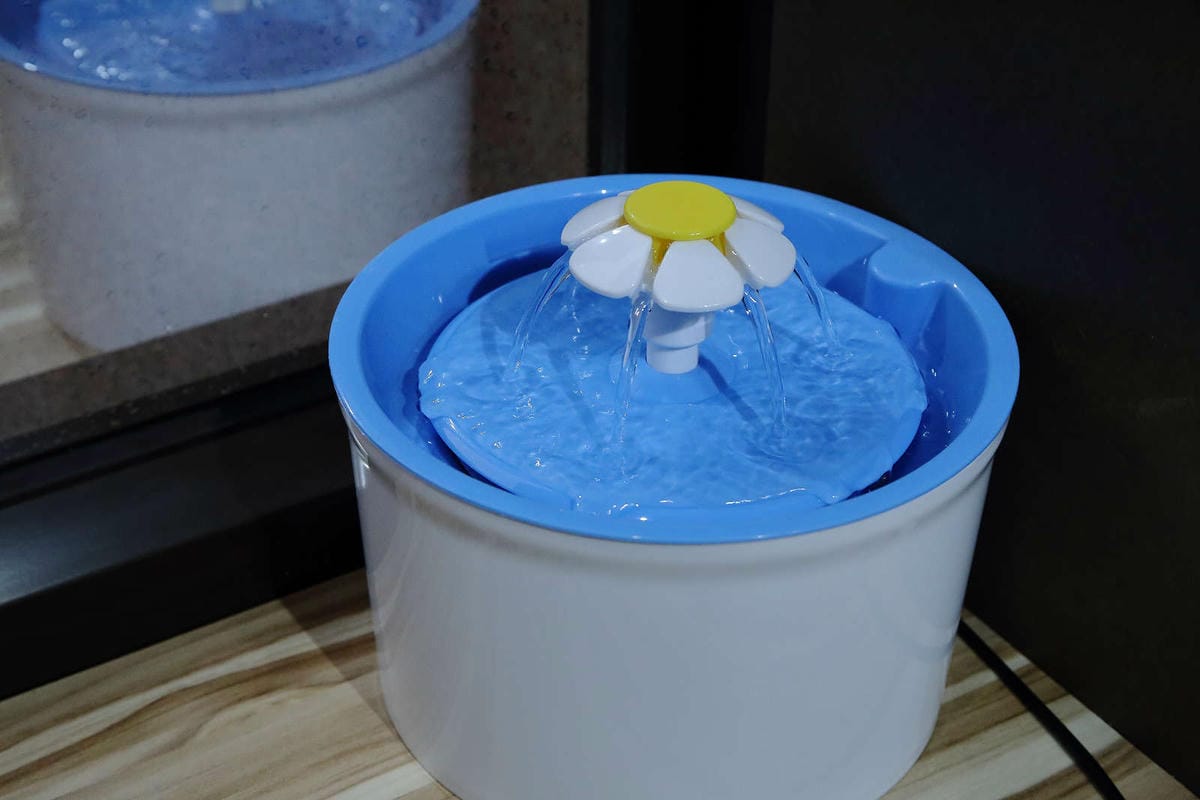 【寵物旅館。桃園】悠遊貓旅-專屬貓咪住宿〜桃園/大園貓咪旅館。貓奴推薦！專屬貓咪旅館，獨立房間與活動空間，主人們放心去旅行吧！