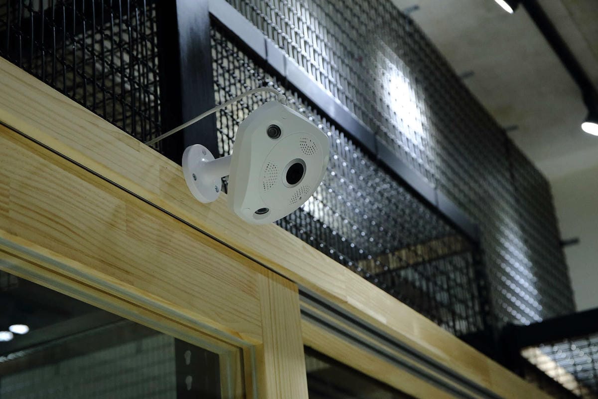 【寵物旅館。桃園】悠遊貓旅-專屬貓咪住宿〜桃園/大園貓咪旅館。貓奴推薦！專屬貓咪旅館，獨立房間與活動空間，主人們放心去旅行吧！