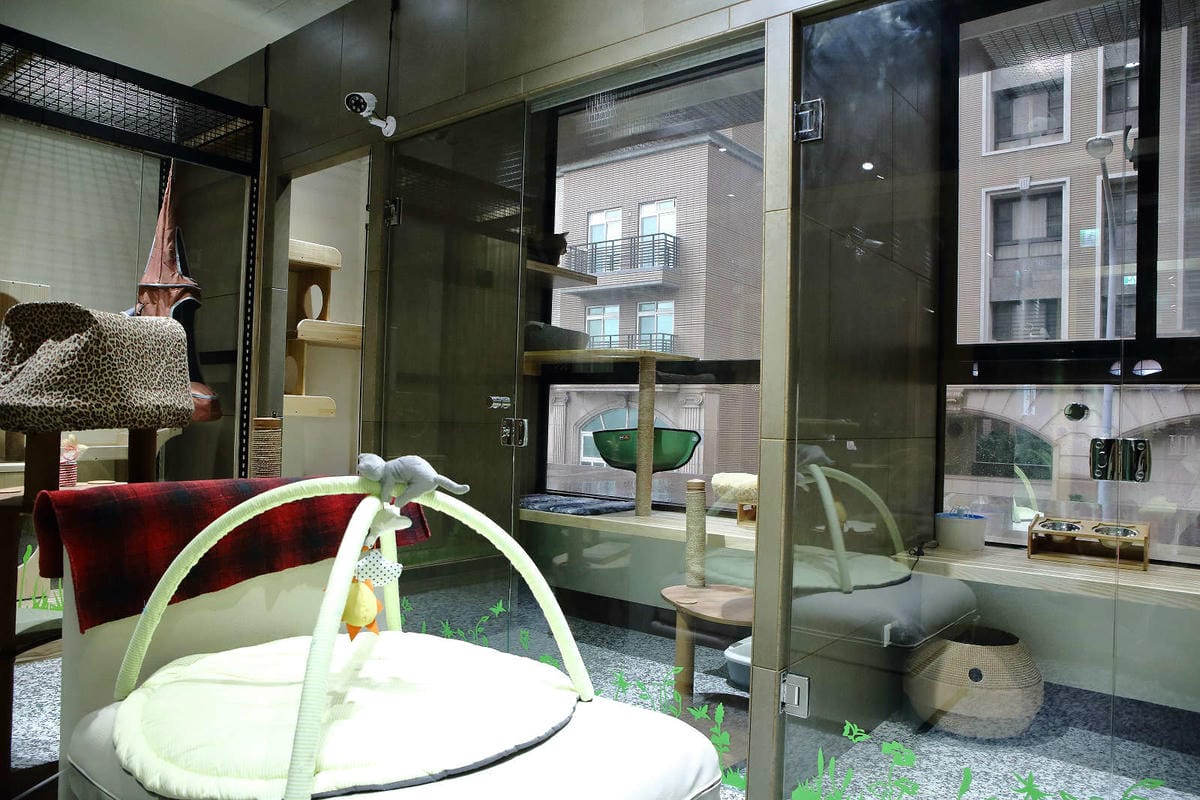 【寵物旅館。桃園】悠遊貓旅-專屬貓咪住宿〜桃園/大園貓咪旅館。貓奴推薦！專屬貓咪旅館，獨立房間與活動空間，主人們放心去旅行吧！