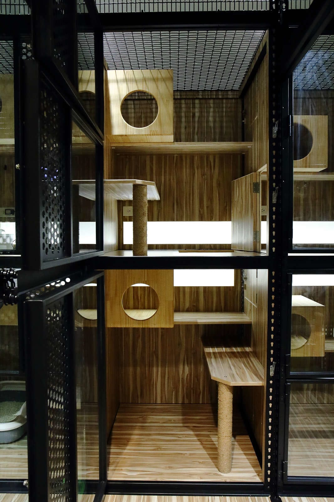 【寵物旅館。桃園】悠遊貓旅-專屬貓咪住宿〜桃園/大園貓咪旅館。貓奴推薦！專屬貓咪旅館，獨立房間與活動空間，主人們放心去旅行吧！