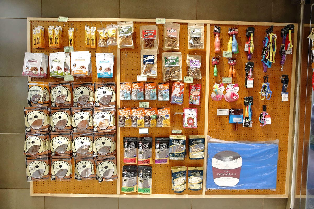 【寵物旅館。桃園】悠遊貓旅-專屬貓咪住宿〜桃園/大園貓咪旅館。貓奴推薦！專屬貓咪旅館，獨立房間與活動空間，主人們放心去旅行吧！