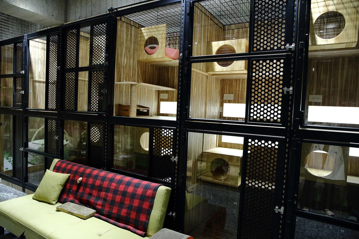 【寵物旅館。桃園】悠遊貓旅-專屬貓咪住宿〜桃園/大園貓咪旅館。貓奴推薦！專屬貓咪旅館，獨立房間與活動空間，主人們放心去旅行吧！