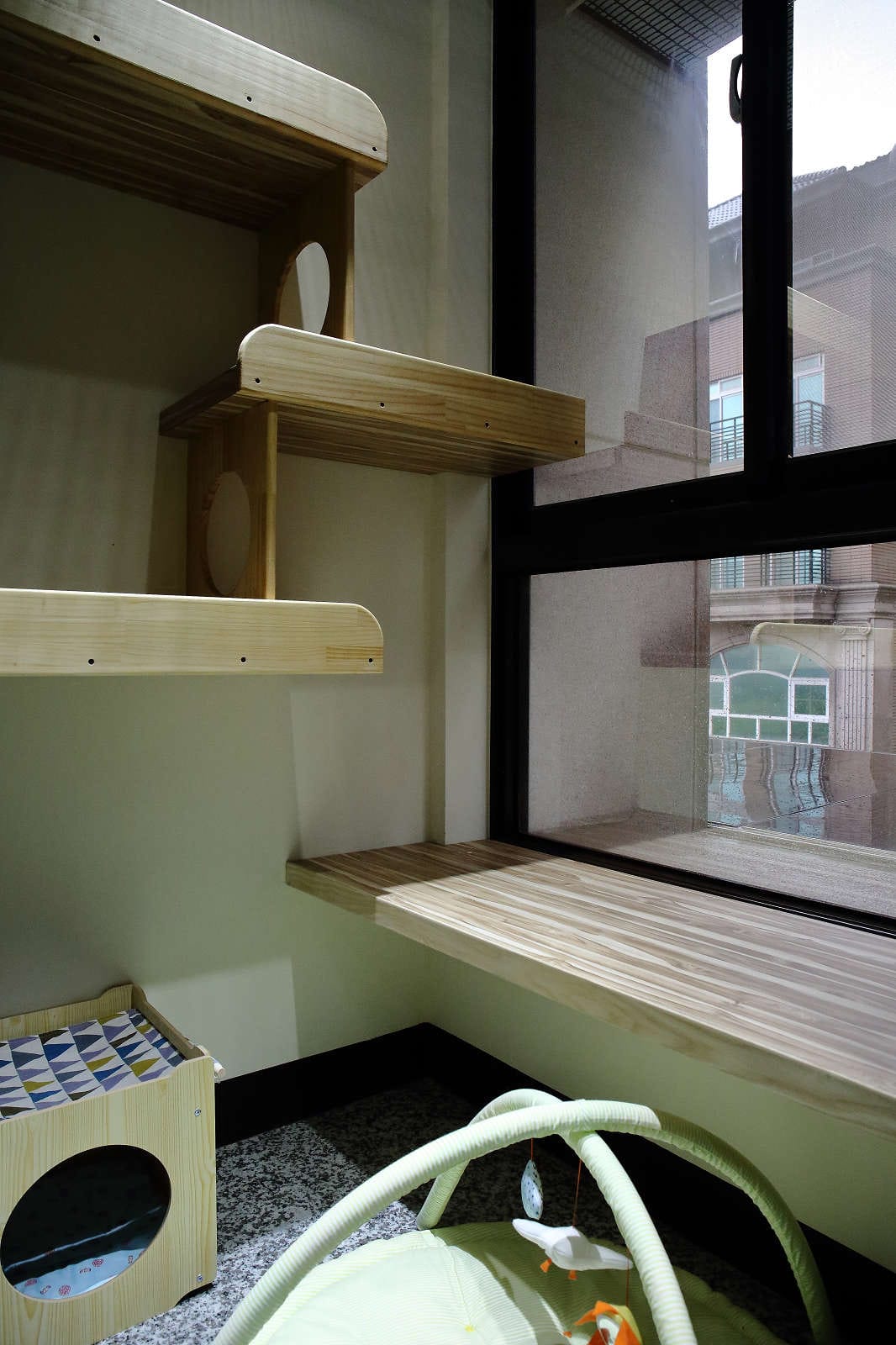 【寵物旅館。桃園】悠遊貓旅-專屬貓咪住宿〜桃園/大園貓咪旅館。貓奴推薦！專屬貓咪旅館，獨立房間與活動空間，主人們放心去旅行吧！