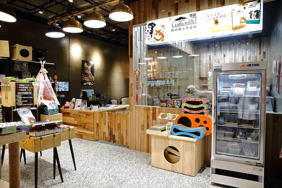 【寵物旅館。桃園】悠遊貓旅-專屬貓咪住宿〜桃園/大園貓咪旅館。貓奴推薦！專屬貓咪旅館，獨立房間與活動空間，主人們放心去旅行吧！