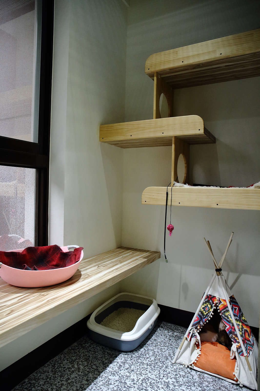 【寵物旅館。桃園】悠遊貓旅-專屬貓咪住宿〜桃園/大園貓咪旅館。貓奴推薦！專屬貓咪旅館，獨立房間與活動空間，主人們放心去旅行吧！