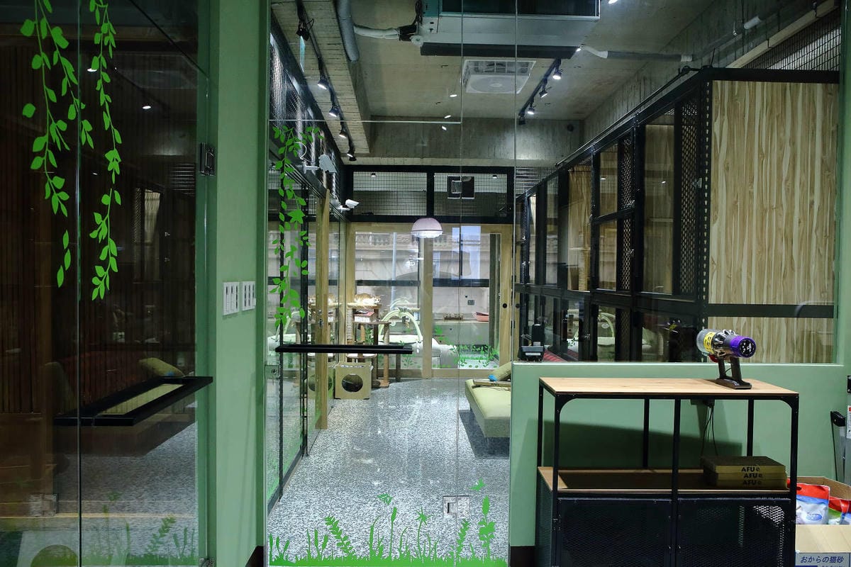 【寵物旅館。桃園】悠遊貓旅-專屬貓咪住宿〜桃園/大園貓咪旅館。貓奴推薦！專屬貓咪旅館，獨立房間與活動空間，主人們放心去旅行吧！