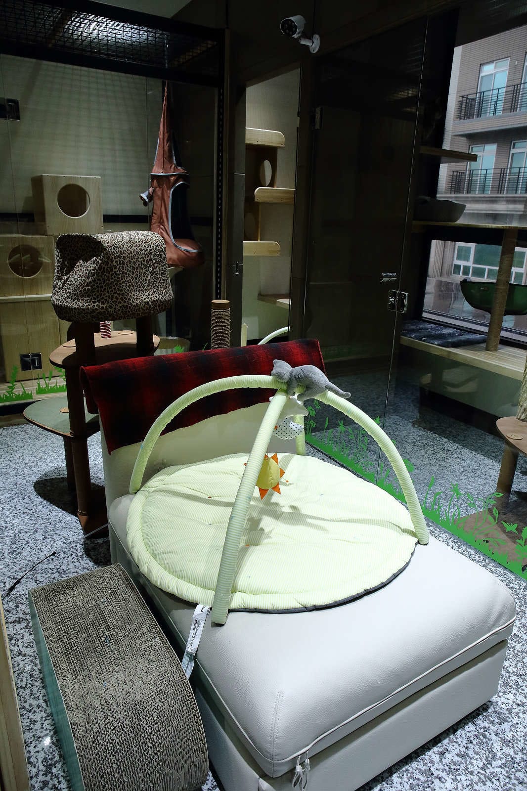 【寵物旅館。桃園】悠遊貓旅-專屬貓咪住宿〜桃園/大園貓咪旅館。貓奴推薦！專屬貓咪旅館，獨立房間與活動空間，主人們放心去旅行吧！