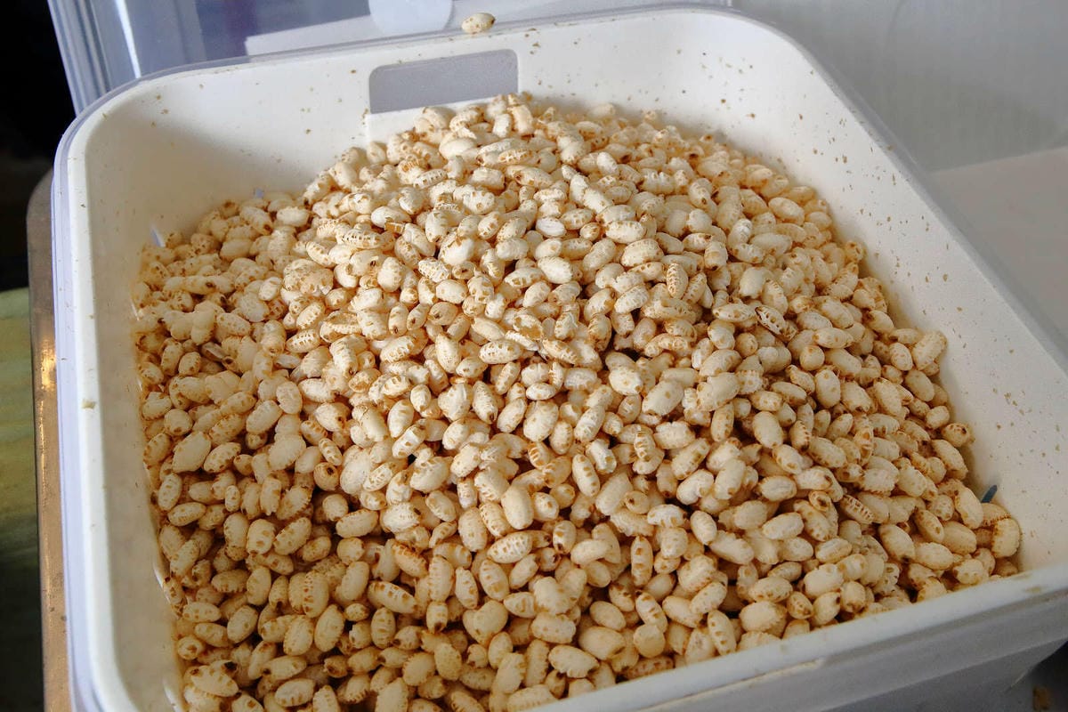 【台中新伴手禮】點點酥 美村店〜審計新村文青散步特色美食。手工蛋捲+爆米香混搭風碰出新滋味！越吃越涮嘴，完封零食控的心！