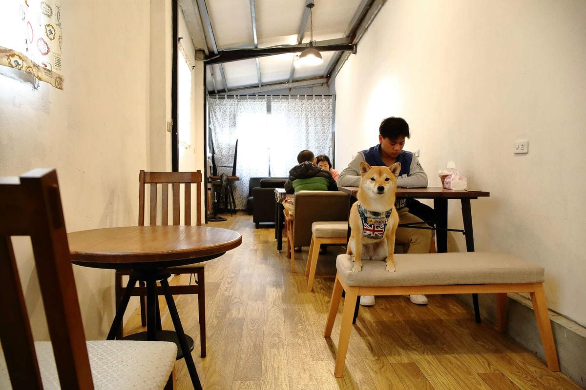 【食。新莊】壹號車小地方早午餐〜新莊隱藏版美食。超可愛彩繪龍貓牆，手工菜頭粿，古早的好味道