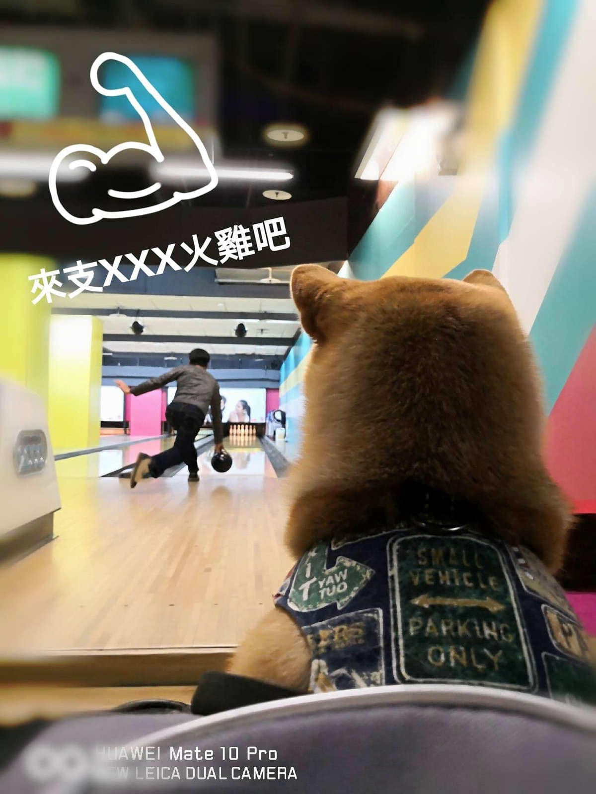 【遊。三重】E7PLAY三重館〜北部最大的室內運動遊樂空間！保齡球、撞球、電話亭KTV、各項電玩設施一票玩到底，親子下雨天和大熱天好去處！