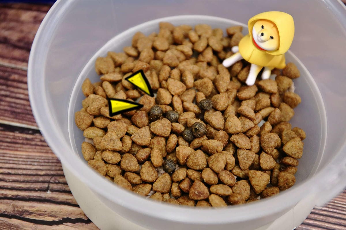 【寵物飼料推薦】Blue Buffalo藍饌天然寵糧〜來自美國銷售第一領導品牌！毛小孩的專屬私廚，獨家冷製法製造的抗氧顆粒，滿足強化毛小孩的健康需求！