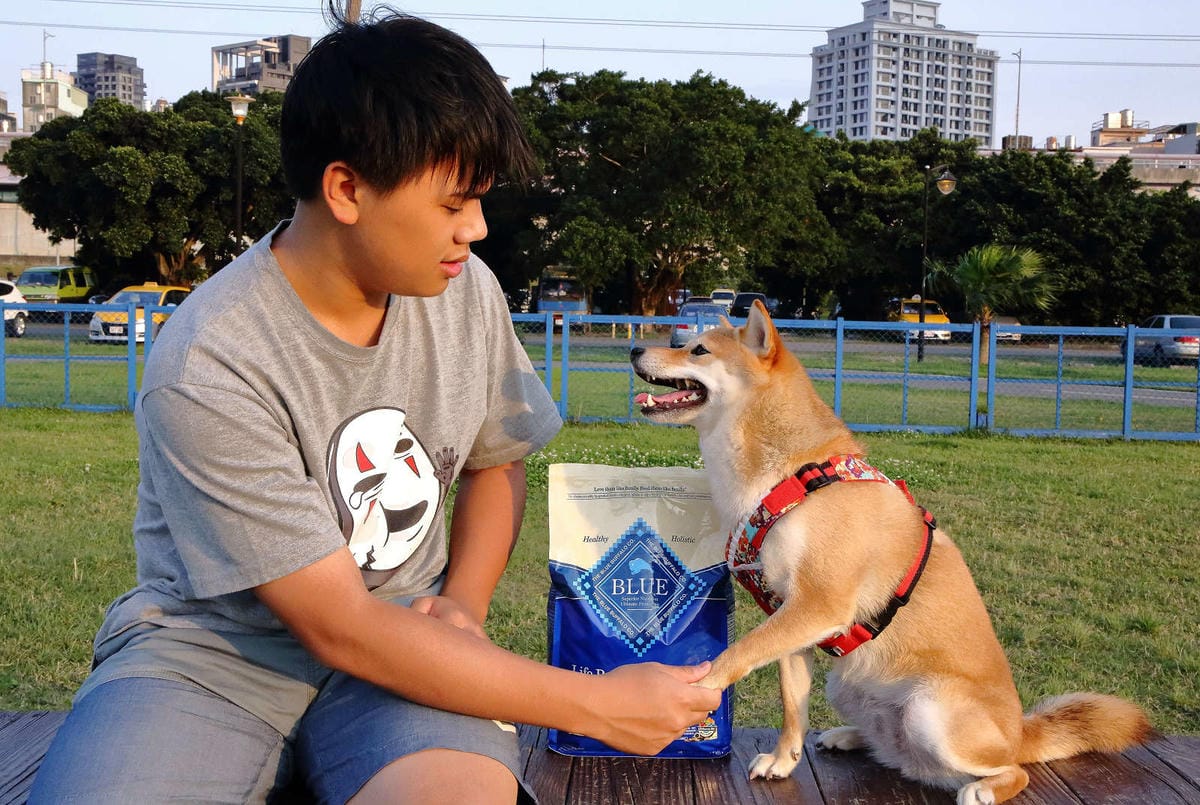 【寵物飼料推薦】Blue Buffalo藍饌天然寵糧〜來自美國銷售第一領導品牌！毛小孩的專屬私廚，獨家冷製法製造的抗氧顆粒，滿足強化毛小孩的健康需求！
