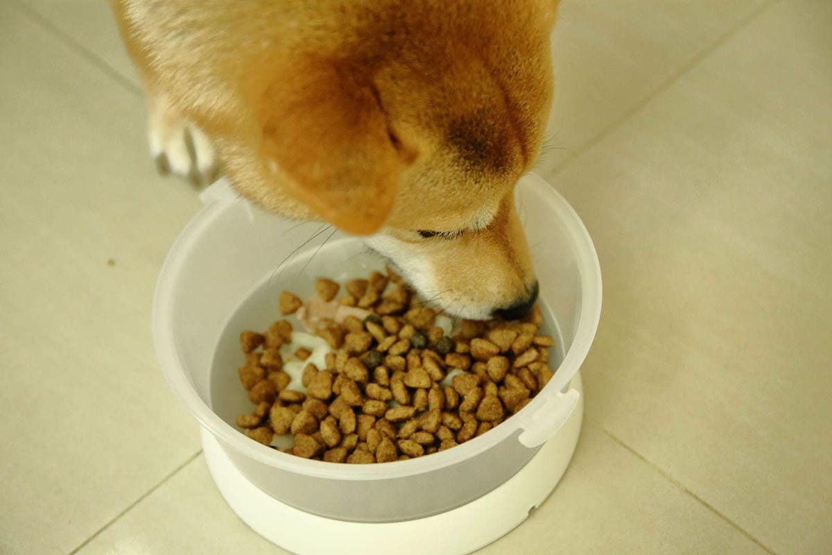 【寵物飼料推薦】Blue Buffalo藍饌天然寵糧〜來自美國銷售第一領導品牌！毛小孩的專屬私廚，獨家冷製法製造的抗氧顆粒，滿足強化毛小孩的健康需求！