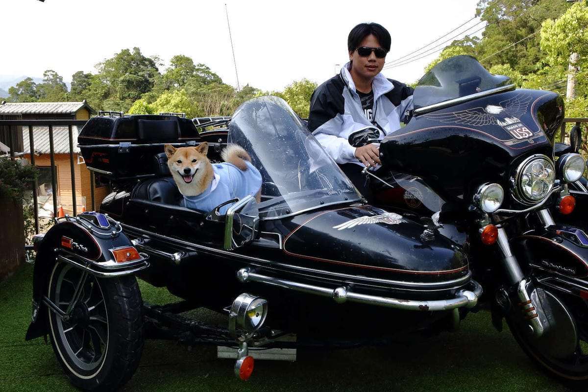 【遊。新竹】SRC北埔印象咖啡民宿〜新竹北埔特色餐廳。超狂！鋼鐵暴龍、重機、古董車大陣容現身，重機迷一定不能錯過的呀！