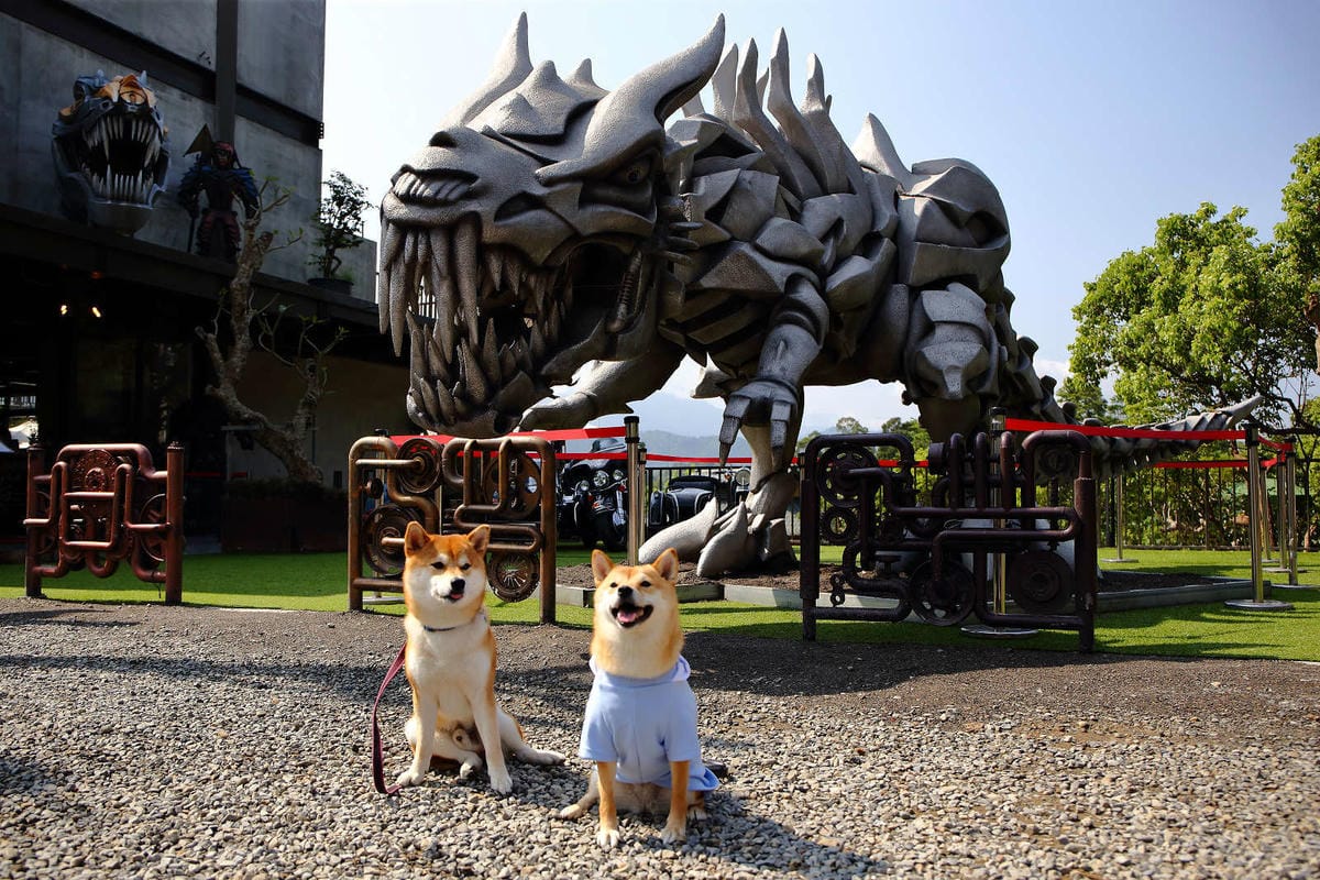 【遊。新竹】SRC北埔印象咖啡民宿〜新竹北埔特色餐廳。超狂！鋼鐵暴龍、重機、古董車大陣容現身，重機迷一定不能錯過的呀！