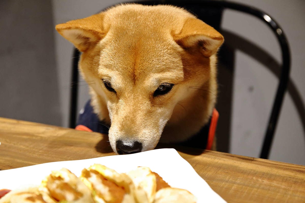 【食。蘆洲】光頭早午餐屋〜隱藏巷弄的小確幸早午餐。超大份量炒麵，不怕你吃，就怕你沒吃飽！