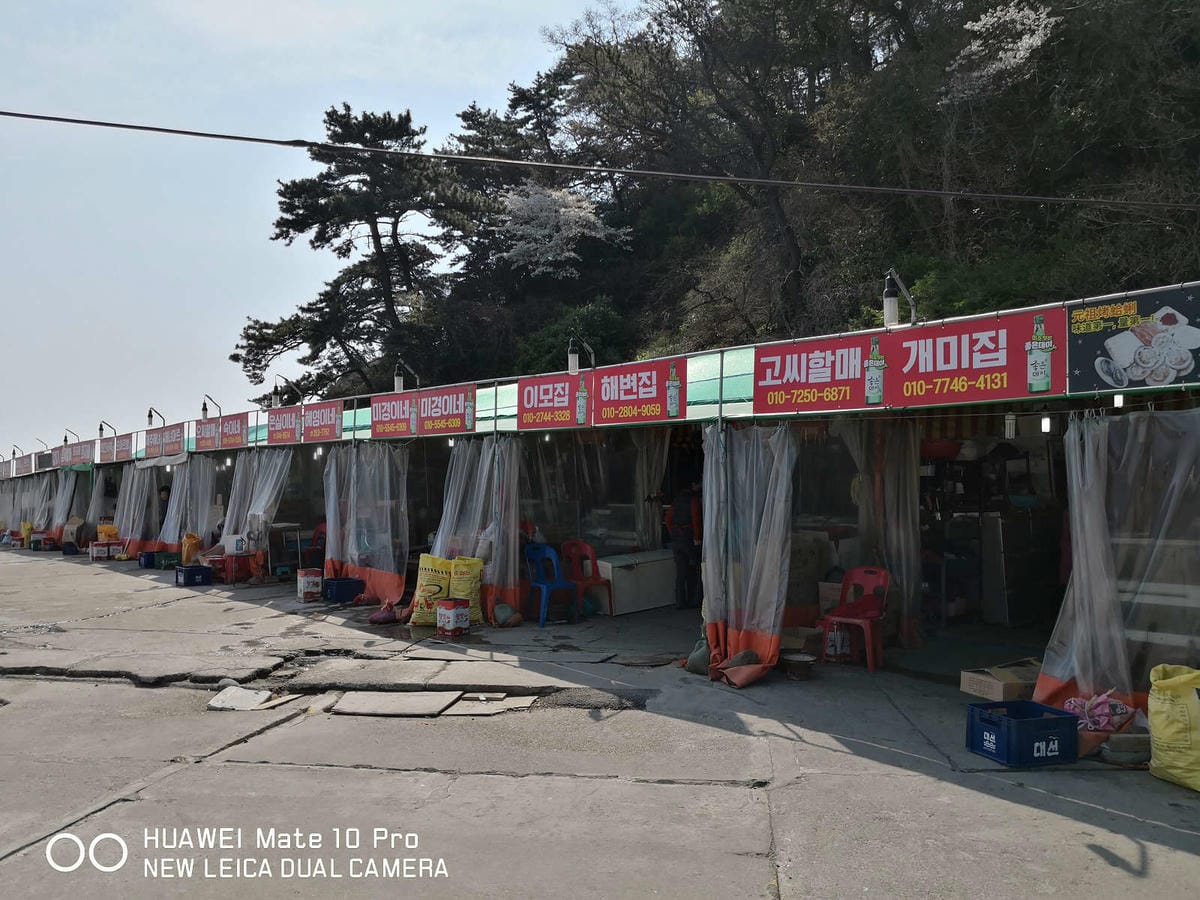 【釜山松島美食】개미집什錦烤貝大餐〜巨無霸香噴誘人烤扇貝，海鮮吃貨，錯過100%會後悔！