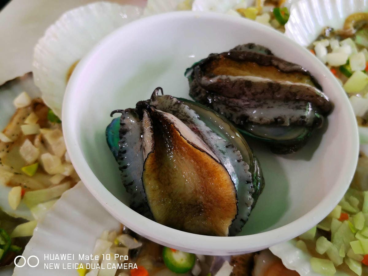 【釜山松島美食】개미집什錦烤貝大餐〜巨無霸香噴誘人烤扇貝，海鮮吃貨，錯過100%會後悔！