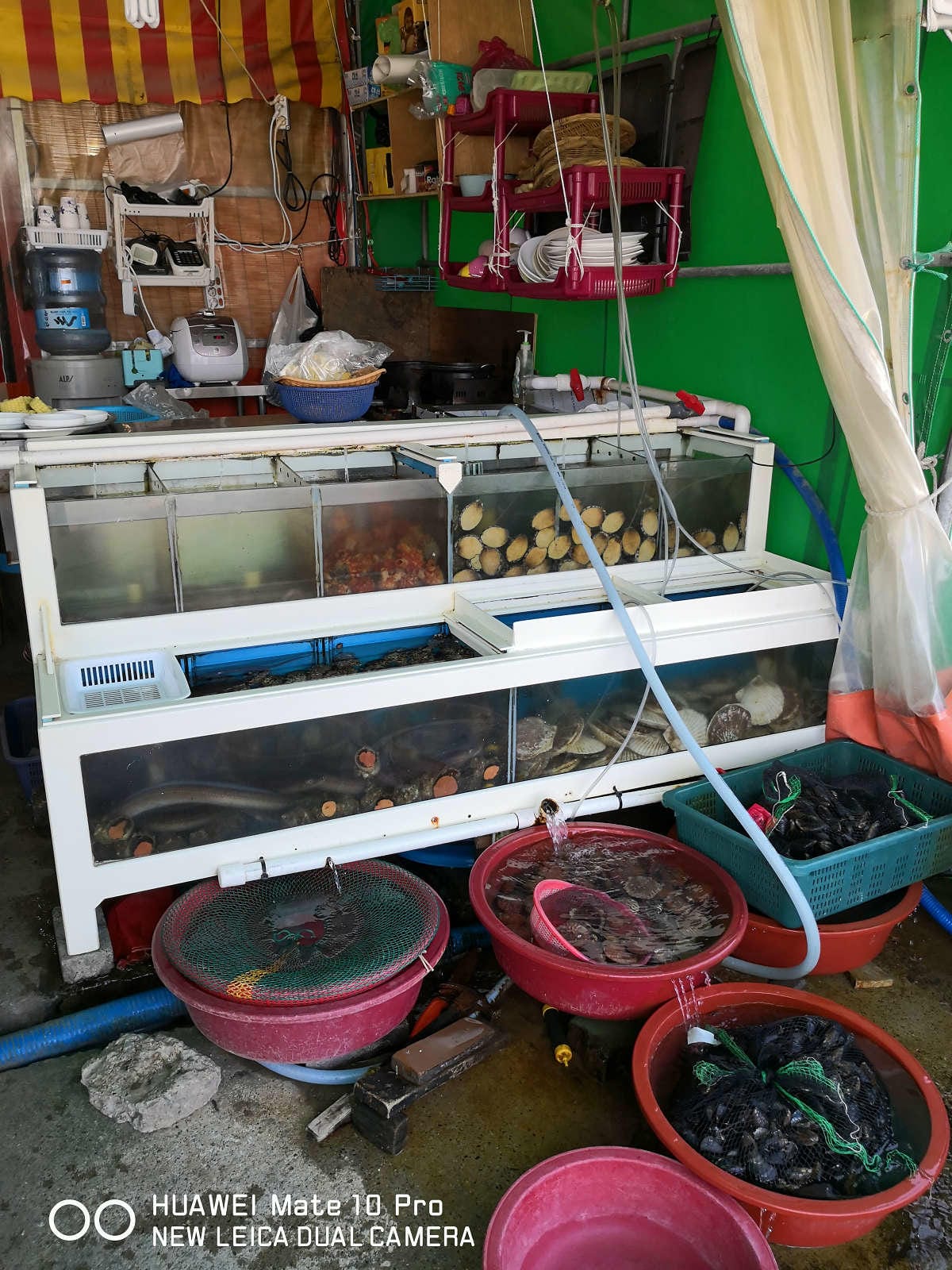 【釜山松島美食】개미집什錦烤貝大餐〜巨無霸香噴誘人烤扇貝，海鮮吃貨，錯過100%會後悔！