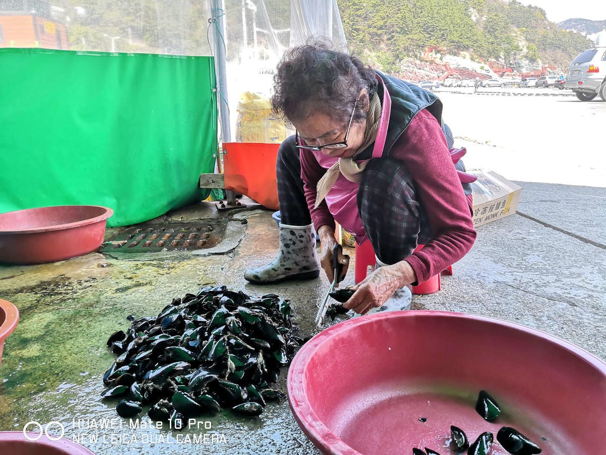 【釜山松島美食】개미집什錦烤貝大餐〜巨無霸香噴誘人烤扇貝，海鮮吃貨，錯過100%會後悔！