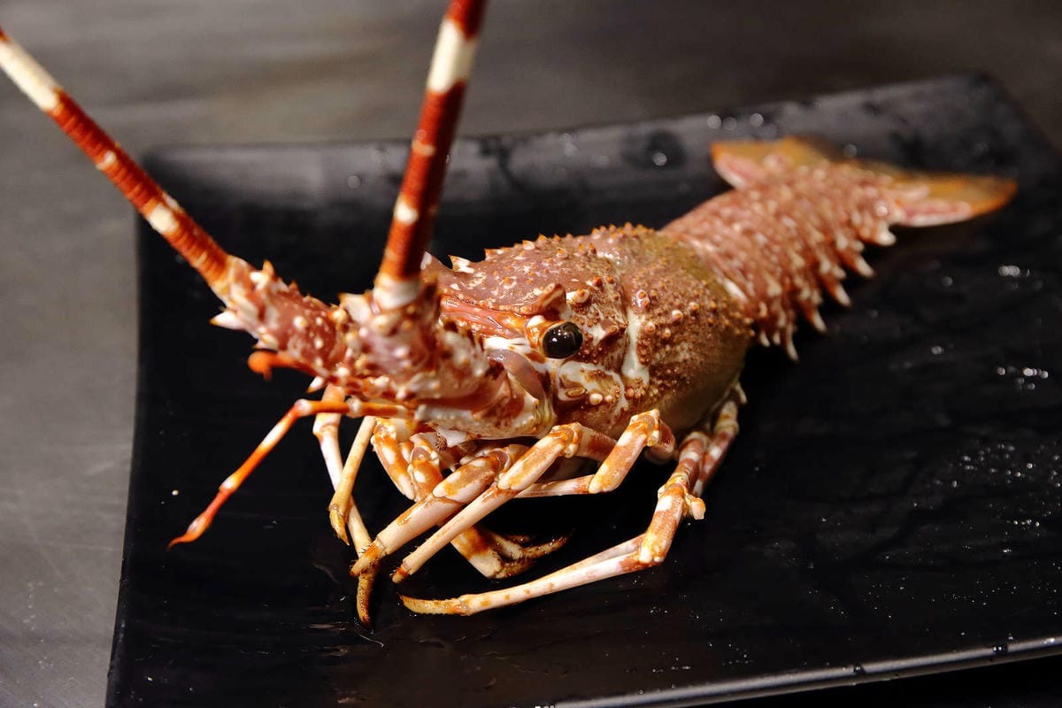 【食。台北】山茶花鐵板燒〜法國玫瑰龍蝦當附餐活跳跳搬上鐵板燒？！頂級味蕾饗宴，等你來品嘗‎