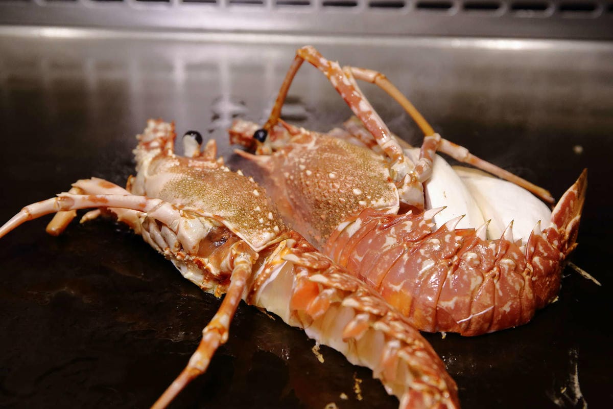 【食。台北】山茶花鐵板燒〜法國玫瑰龍蝦當附餐活跳跳搬上鐵板燒？！頂級味蕾饗宴，等你來品嘗‎