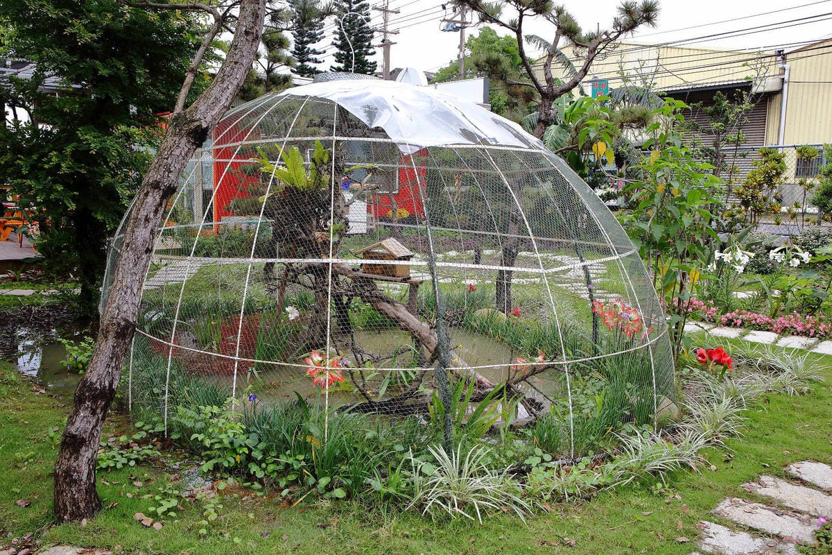 【食。大園】陽光莊園〜桃園親子寵物餐廳推薦。彩色貨櫃屋×庭園風×大草皮×沙坑，大人小孩和毛孩都能開心的好地方！