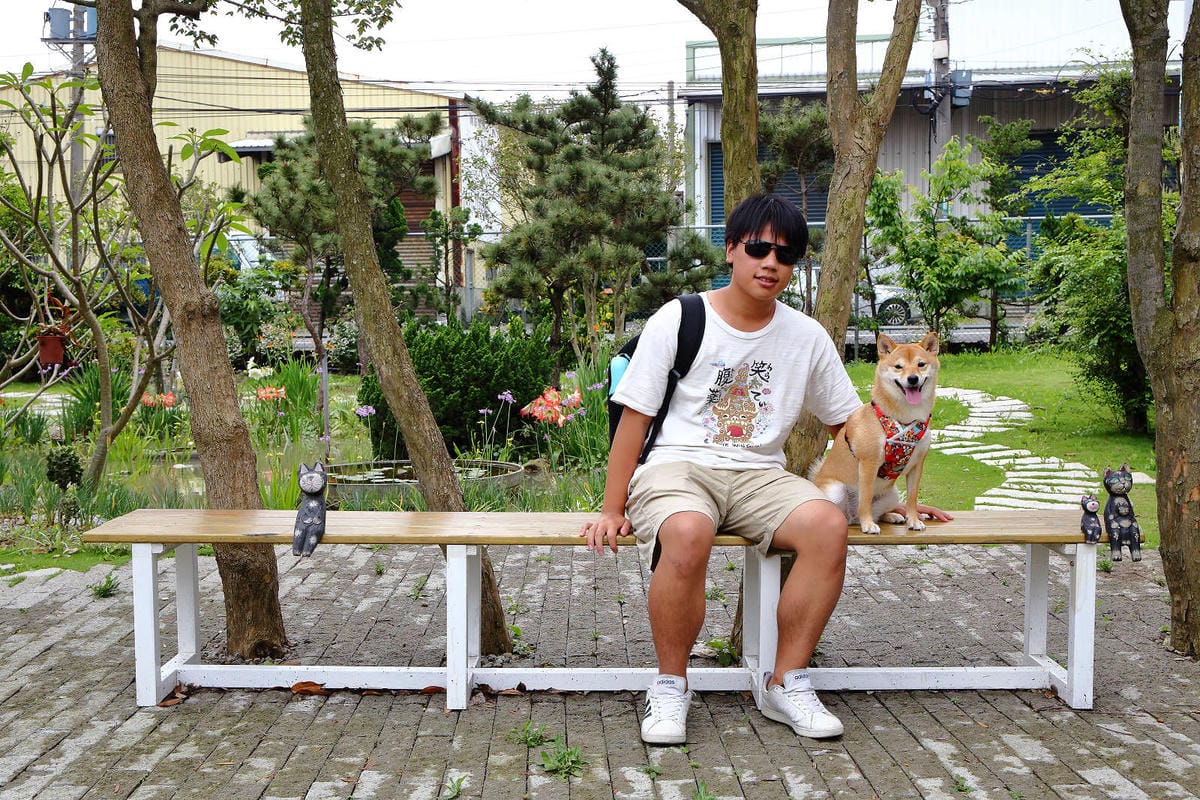 【食。大園】陽光莊園〜桃園親子寵物餐廳推薦。彩色貨櫃屋×庭園風×大草皮×沙坑，大人小孩和毛孩都能開心的好地方！