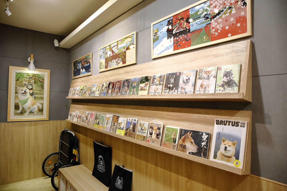 【食。台中】此木二水 Shiba Kori〜柴犬雪花冰專売店。超療癒柴犬、日式手工冰磚，今夏人氣必吃的冰品！