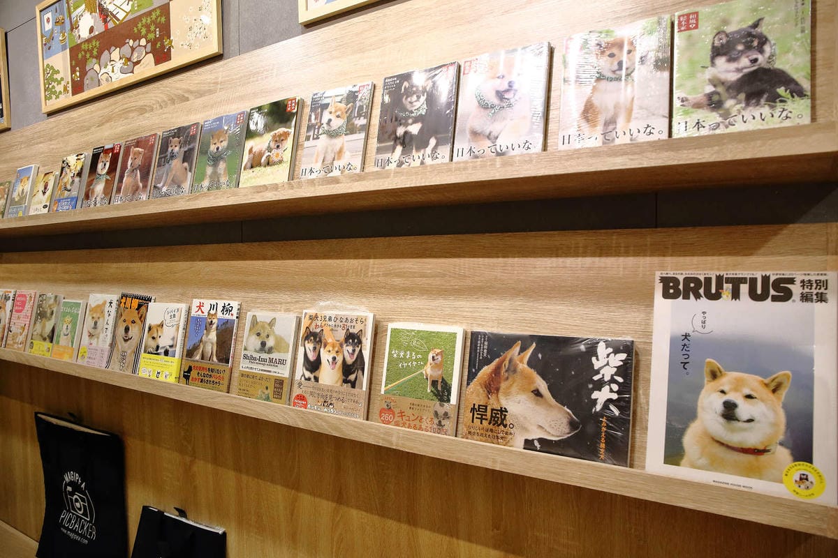 【食。台中】此木二水 Shiba Kori〜柴犬雪花冰專売店。超療癒柴犬、日式手工冰磚，今夏人氣必吃的冰品！