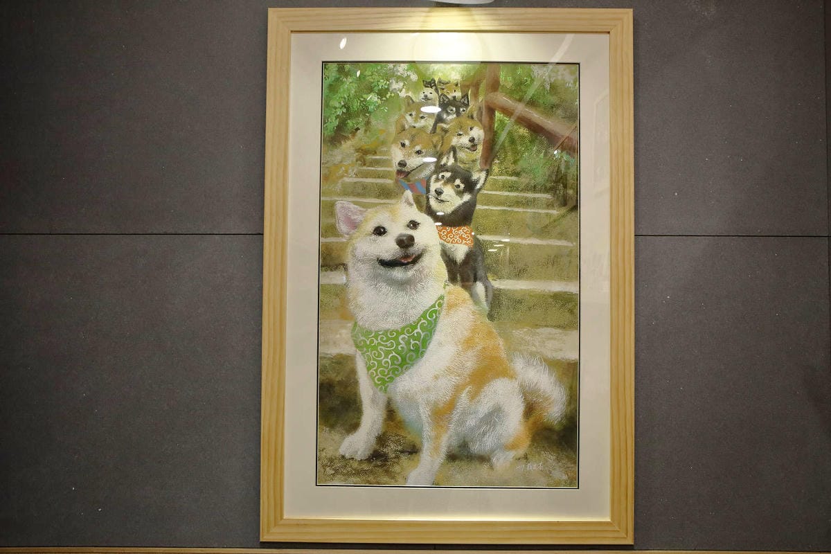 【食。台中】此木二水 Shiba Kori〜柴犬雪花冰專売店。超療癒柴犬、日式手工冰磚，今夏人氣必吃的冰品！